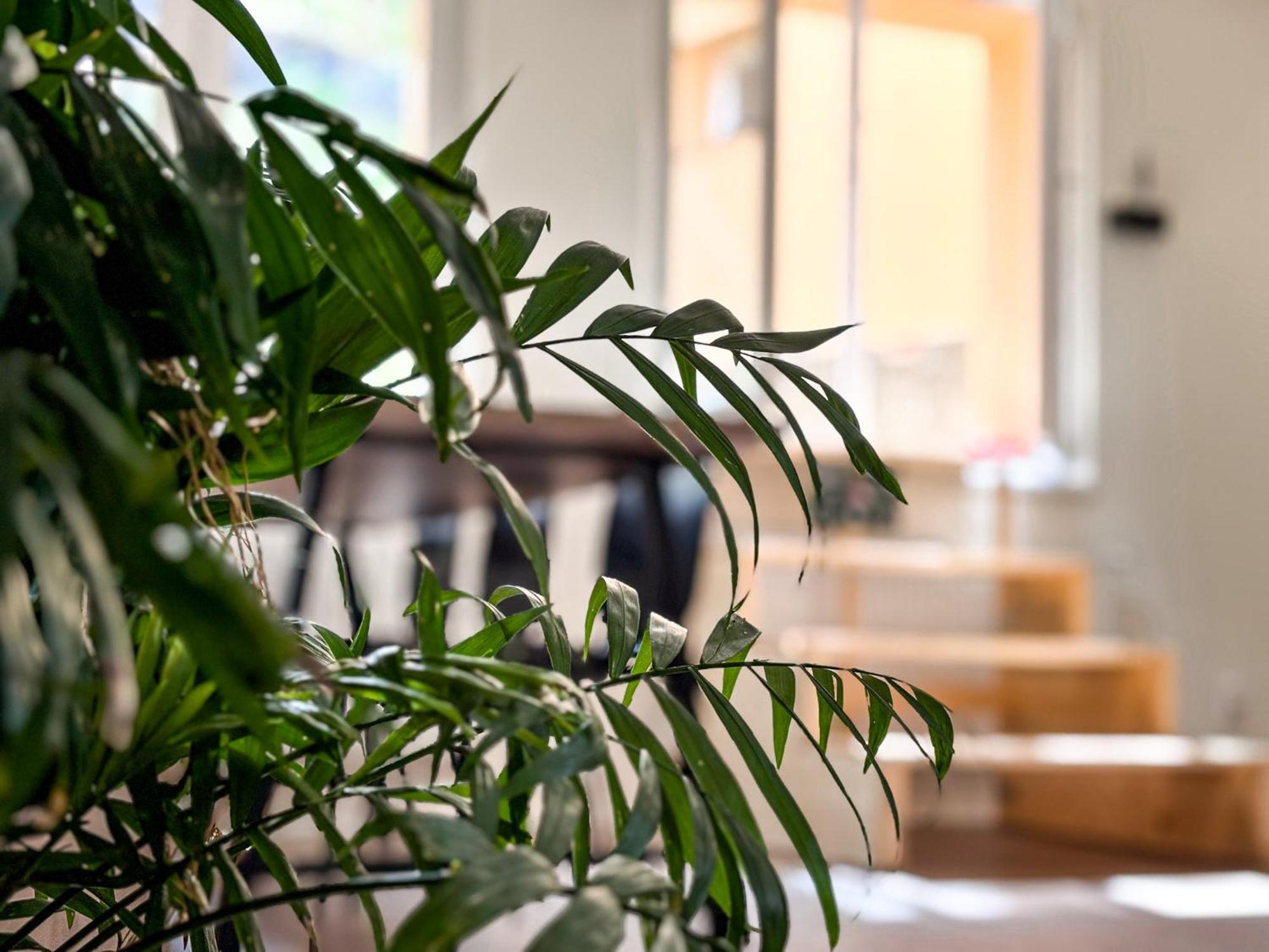 Remote Work Friendly Zahradni Apartman U Jezera Staré Splavy Dış mekan fotoğraf